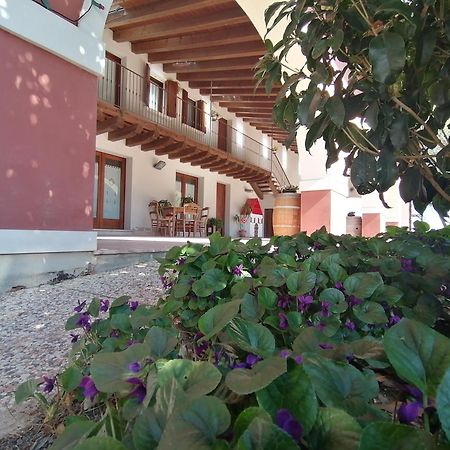 Agriturismo Il Salice Ridente Pasiano Di Pordenone Εξωτερικό φωτογραφία