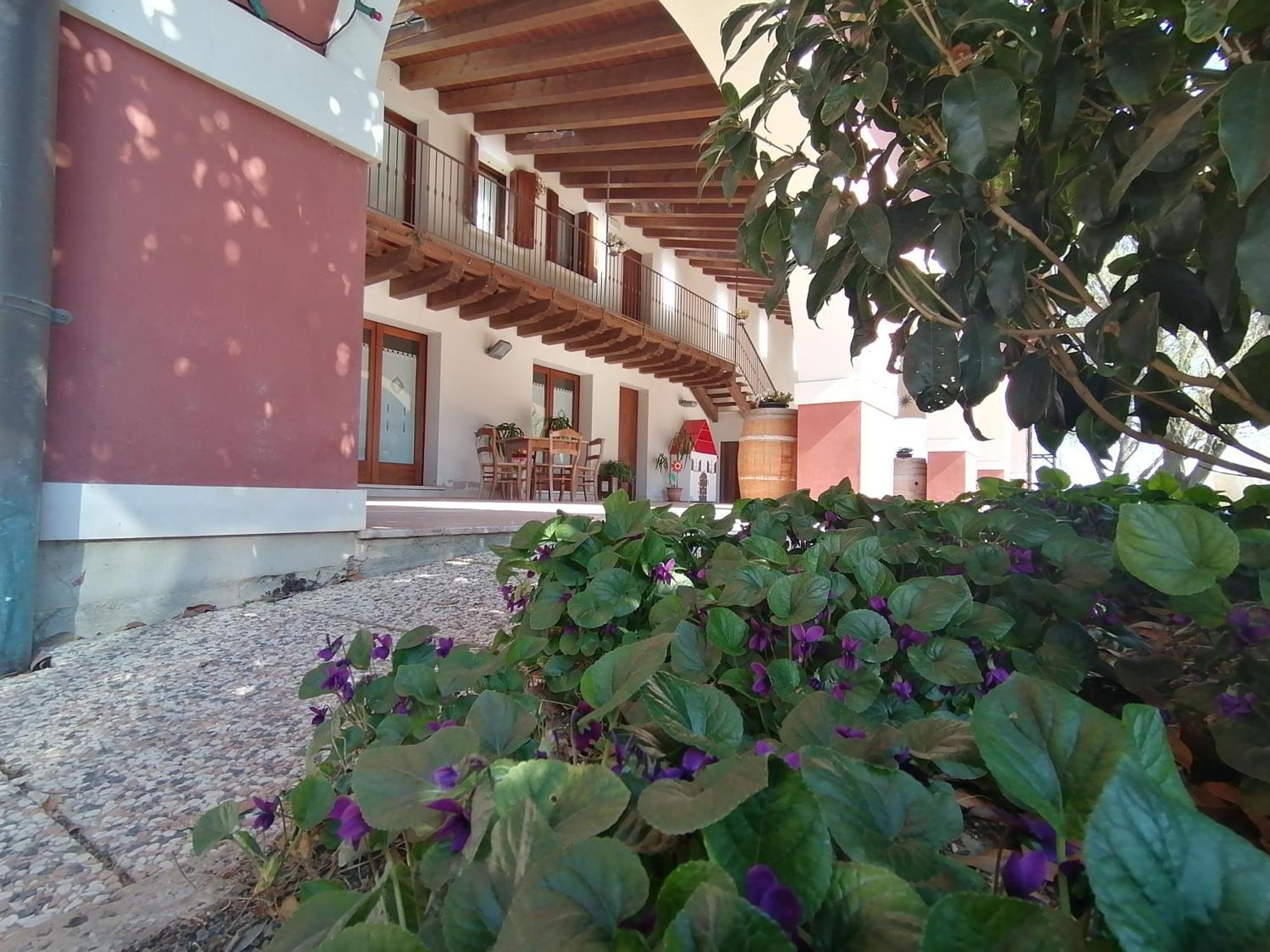 Agriturismo Il Salice Ridente Pasiano Di Pordenone Εξωτερικό φωτογραφία